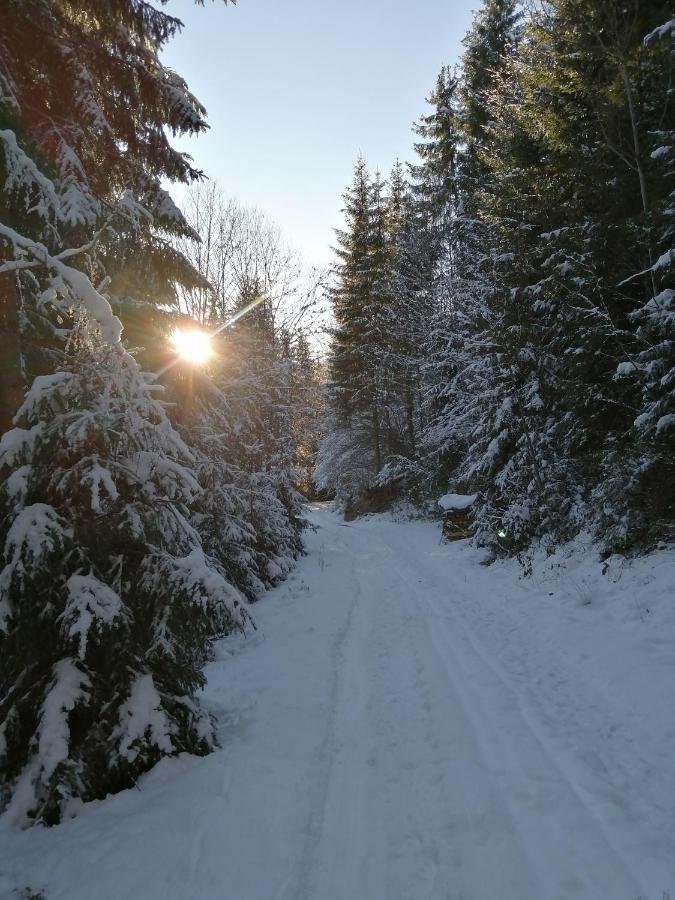 Bio-Bauernhof "Hecherhof" Thiersee Esterno foto