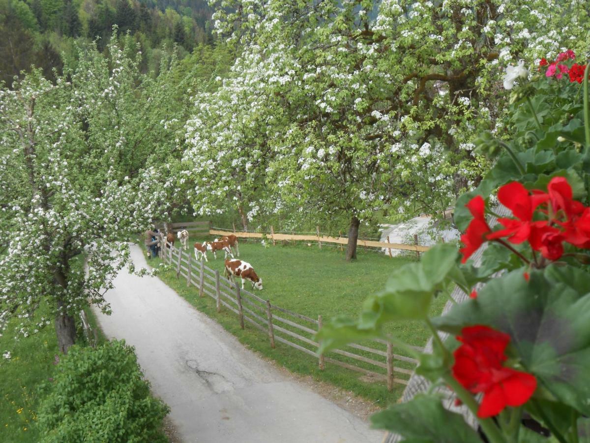 Bio-Bauernhof "Hecherhof" Thiersee Esterno foto